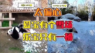 爱宝拥有整个雪场，乐宝只有一桶雪，姜爷爷叹道：造雪机太贵了