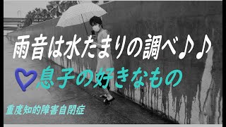 雨音は水たまりの調べ♪♪息子の好きなもの【支援学校不登校の重度知的障害・自閉症】