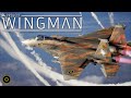 project wingman one year medley orchestra ost gameplay edit