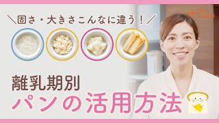 【離乳食初期から】#8 離乳食期のパン活用法【離乳食の基本調理】