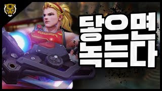 [ZUNBA] 자리야 패치 후 닿으면 녹는다! 준바 왕의 길 자리야 플레이