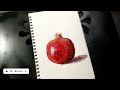 painting realistic pomegranate with acrylic colours in sketchbook i art online