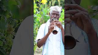 பழங்குடி இருளர் இசை | Pinnachi Shorts | Tribal Folk Music |@Kattiyakkaran