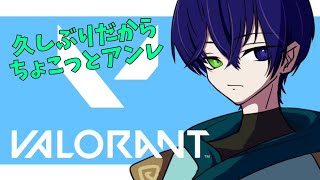 【VALORANT】めちゃくちゃ久しぶりのヴァロ！配信しながらちゃんと動くかアンレで確認する【ジン・ガンク】