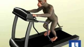 Mind Control Monkey Moves Robot in Japan