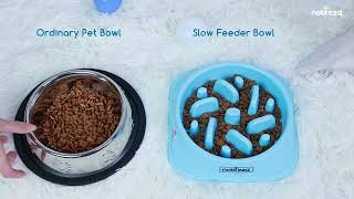 Nobleza Pet Slow Food Bowl 050321