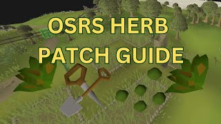 Ultimate Herb Farming Run Guide 2024 Osrs