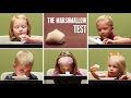 the marshmallow experiment | Instant gratification