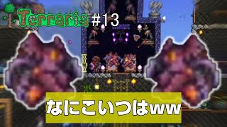 【完全初見】天使か像か  新しい相棒   テラリア#13