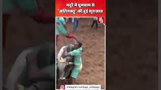 Jallikattu: तमिलनाडु के मदुरै में धूमधाम से तीन दिवसीय लोकप्रिय ‘जल्लिकट्टु’ की शुरुआत, Tamilnadu