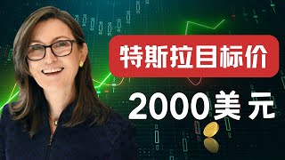 木头姐:马斯克代表了21世纪的文艺复兴！自动驾驶即将实现！2027年目标价格2000美元！