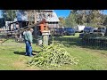 horse drawn chattanooga plow company sorghum cane mill press