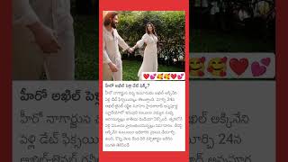 హీరో అఖిల్ పెళ్లి డేట్ ఫిక్స్ 💕 ytshots 🥰 viral ✨ trending shot ✨ pls like share subscribe