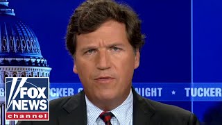 Tucker: What is going on here?