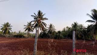 Nelamangala tour |The other side of Nelamangala |Beautiful Nelamangala