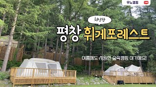 [4K]🌞평창 휘게포레스트🏕️ 잔디사이트ㅣ스노우피크 랜드락ㅣ사이트 드론뷰ㅣ스노우피크 에버랜드 캠프필드 스토어ㅣ포인트상품ㅣ카페앤다이닝추천메뉴