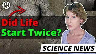 This Discovery Might Change What We Know About Life!