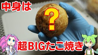 【VOICEVOX解説】たこ焼き10個分 超BIGたこ焼き【冷凍食品レビュー】