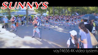 【シネスコ】サニーグループよさこい踊り子隊SUNNYS 原宿表参道元氣祭スーパーよさこい2018 remake ver.