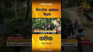 සීතාවක ලස්සන බලන ගමන - Hiru News