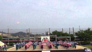 2013 6 2 犬山踊芸祭　メイン会場　ファイナル　皇學館大学　雅