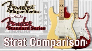 The New 2018 Fender Player vs. Standard-Which Mexican Stratocaster Sounds Better?