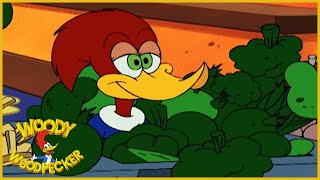 Woody Woodpecker In Wild Bill Hiccup A Walter Lantz Production Woody Woodpecker In Wild Bill Hiccup A Walter Lantz Production
