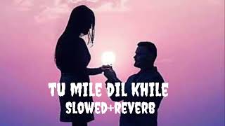 tu mile Dil khile (slowed+reverb) lofi song lyrics