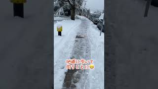 【カナダ生活🇨🇦】あのバンクーバーが50年ぶりの大雪！？#Shorts