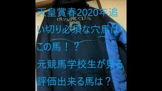 【競馬】 天皇賞春2020必須な穴馬はこの馬！追い切り良かった馬はこの馬！