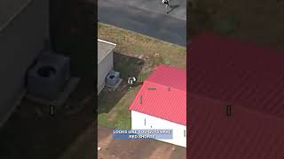 Tampa Teens Take Joyride in Stolen Golf Cart, Sheriff Says