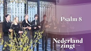 Nederland Zingt: Psalm 8