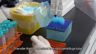 Laboratory Case Sharing: DNA Extraction Using CTAB Method