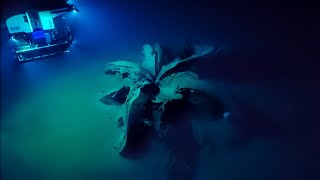 10 Deep Sea Anomalies That Can't Be Explained