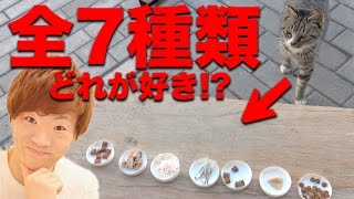 ネコに7種類のキャットフード同時に出したら一番最初にどれ選ぶ？