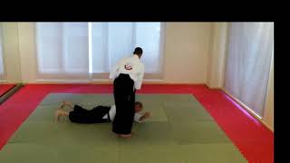 4th Kyu Tachi Waza Shomen Uchi Kote Gaeshi