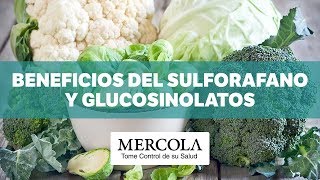 Beneficios del sulforafano y glucosinolatos