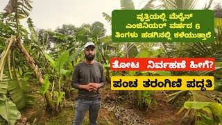 ವೃತ್ತಿಯಲ್ಲಿ  ಮರೀನ್ ಇಂಜಿನಿಯರ್: 3 ಎಕರೆ ಜಮೀನಿನಲ್ಲಿ ಪಂಚ ತರಂಗಿಣಿ ಕೃಷಿ  | five layer farming