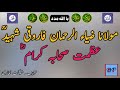 azmat e sahaba moulana zia ur rehman faroqi sahib مولانا ضیاء الرحمان فاروقی صاحبؒ