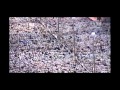 Makkah Taraweeh 2011 [Full] - Ramadan Night 13 ~ راويح مكة 1432 - ليلة 13