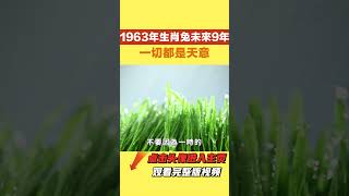 命裏一尺，難求一丈：1963年生肖兔的未來9年，一切都是天意！【國學天地】#国学智慧#禅悟人生#1963年#生肖#运势 #风水 #生肖兔