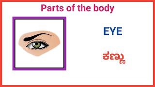 ಶರೀರದ ಅವಯವಗಳು, Parts of the body, Parts of the body English and Kannada,