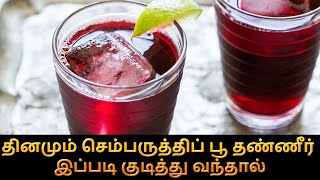 தினமும் செம்பருத்திப் பூ தண்ணீர் இப்படி குடித்து வந்தால்