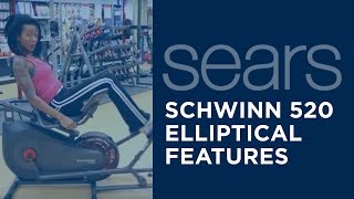 Schwinn 520 Recumbent Elliptical Trainer Feature - Stride Path