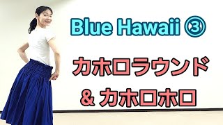 Blue Hawaii ③ カホロラウンドとカホロホロ