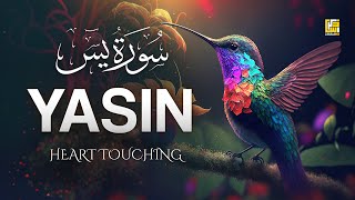 Surah Yasin (Yaseen) سورة يس | Beautiful voice soul heart touching | Zikrullah TV