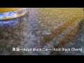 【kick】黒猫〜adult black cat〜 acid black cherry　歌ってみた