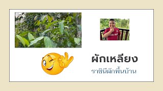 ราชินีผักพื้นบ้าน “ผักเหลียง”