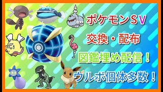 【ポケモン】夢ウルボフル遺伝ウパーなどウルボ個体配布！ポケットモンスターSV配信！みんなで一緒にレイド・図鑑埋め・交換・対戦会配信！【雑談】