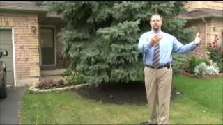 DRPS Crime Prevention Quick Tip - Trim Trees & Shrubs